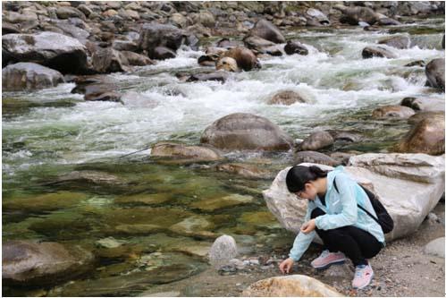 恒峰g22(国际)官网入口-天天有惊喜