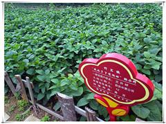 恒峰g22(国际)官网入口-天天有惊喜