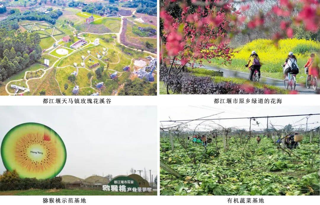 恒峰g22(国际)官网入口-天天有惊喜