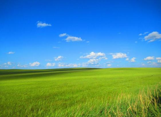 恒峰g22(国际)官网入口-天天有惊喜