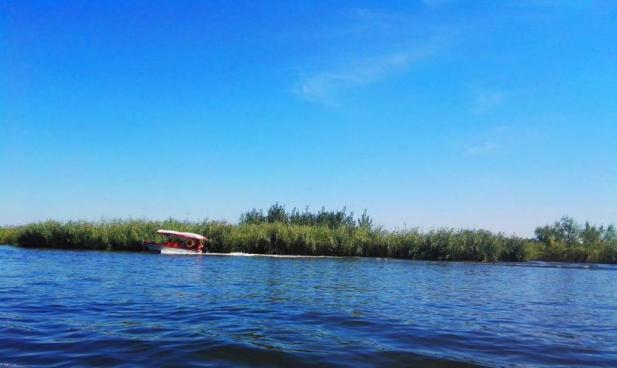 恒峰g22(国际)官网入口-天天有惊喜