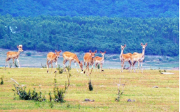 恒峰g22(国际)官网入口-天天有惊喜