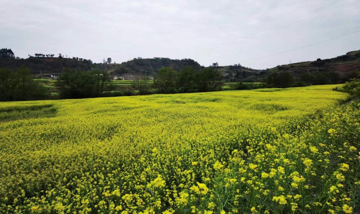 恒峰g22(国际)官网入口-天天有惊喜
