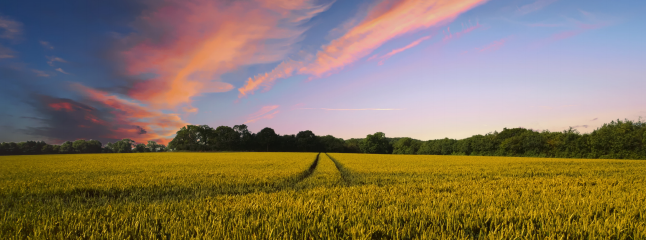 恒峰g22(国际)官网入口-天天有惊喜