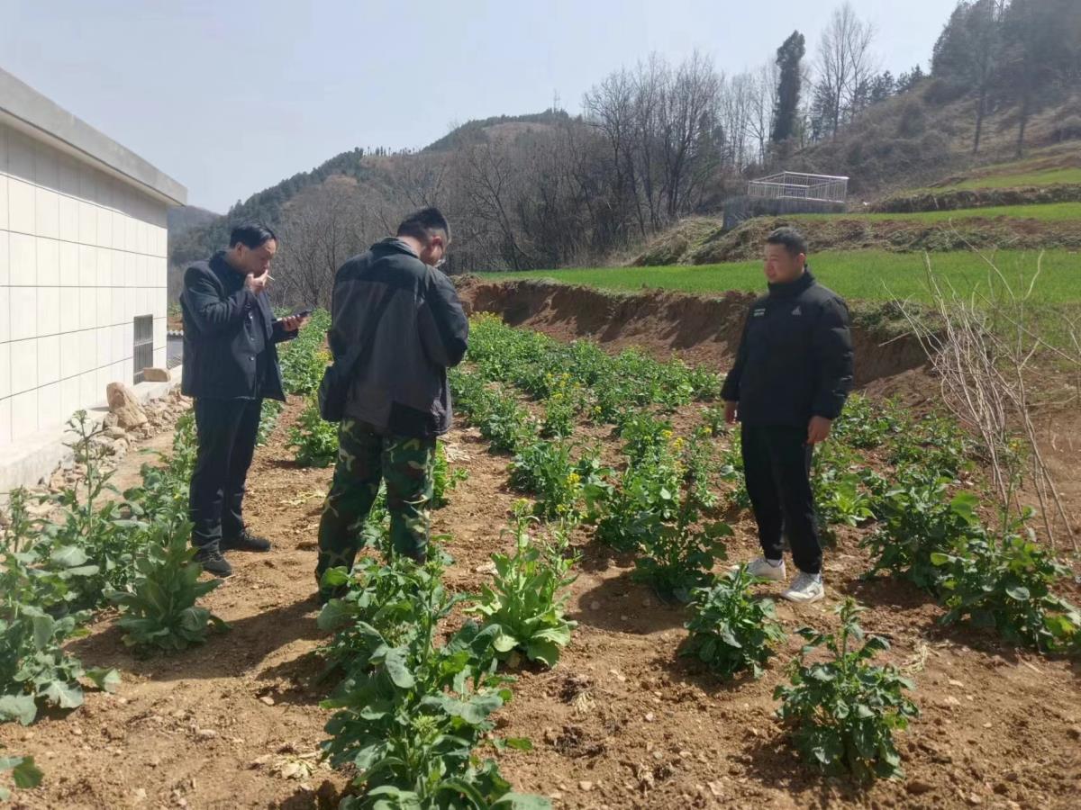 恒峰g22(国际)官网入口-天天有惊喜