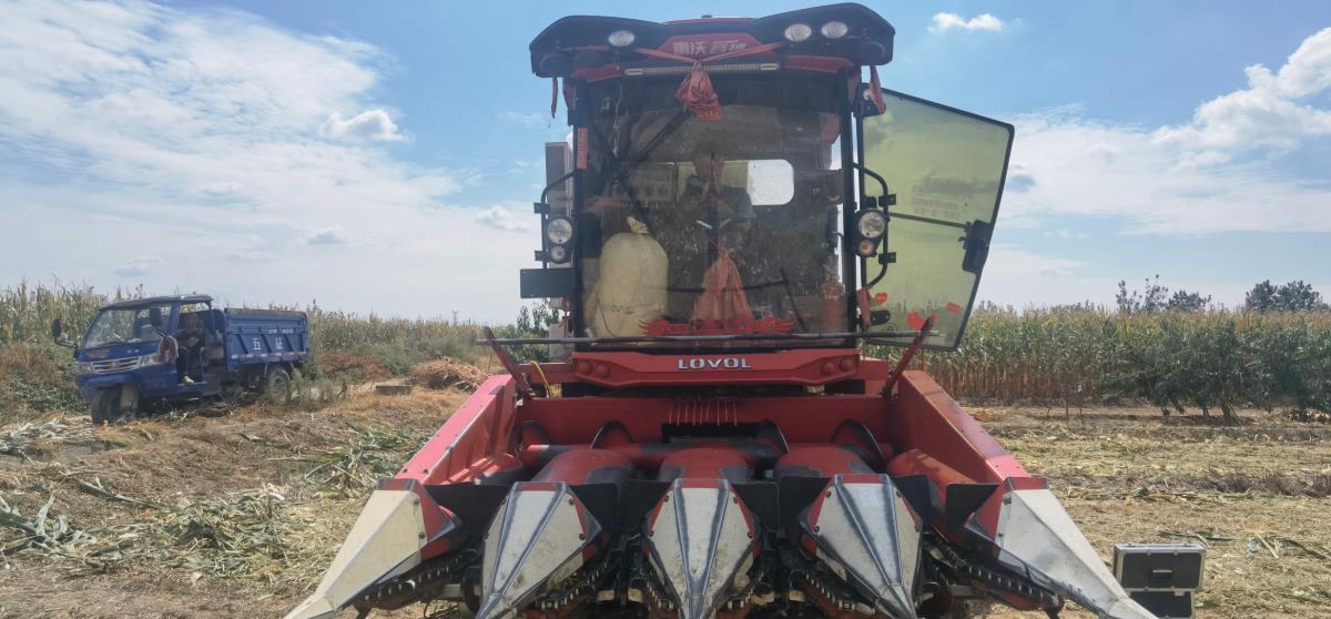 恒峰g22(国际)官网入口-天天有惊喜