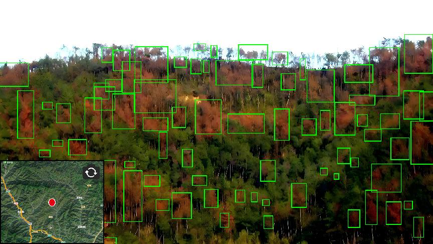 恒峰g22(国际)官网入口-天天有惊喜
