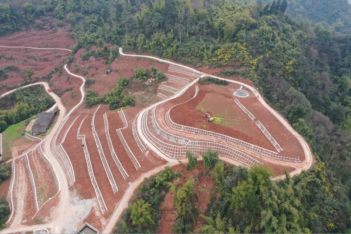 恒峰g22(国际)官网入口-天天有惊喜