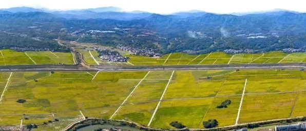 恒峰g22(国际)官网入口-天天有惊喜