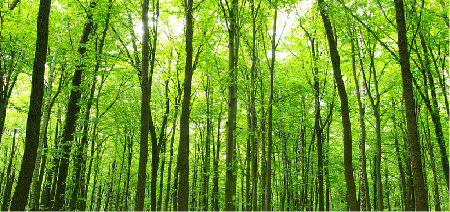 恒峰g22(国际)官网入口-天天有惊喜